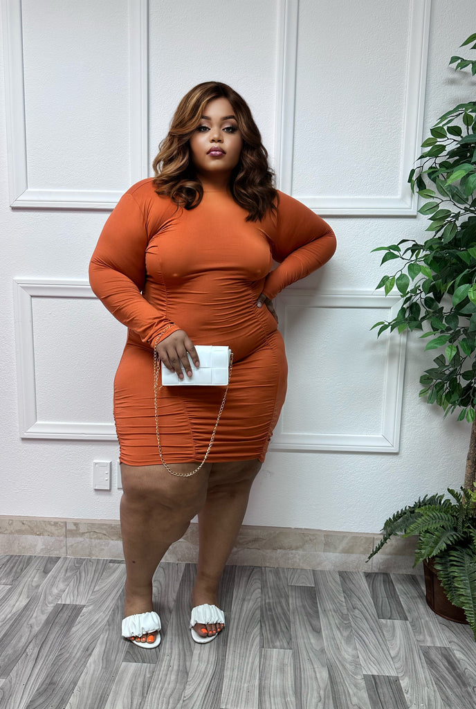 Rust Jane + Size Bodycon Dress